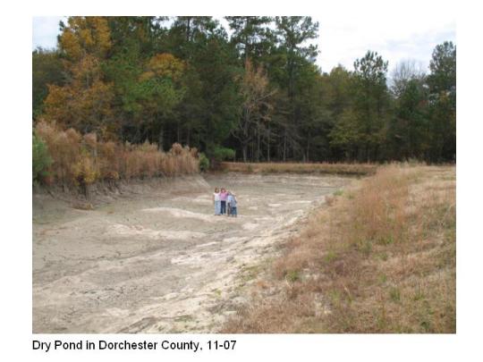 Dry Pond in Dorchester County