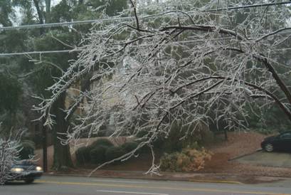 Picture of ice damage